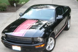 2009 Warriors In Pink Limited Edition Mustang photo