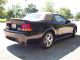 Rare,  2001 Mustang Cobra Convertible,  131 Made,  Car Show Vehicle,  Drive Anywhere Mustang photo 3
