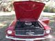 1965 Ford Mustang Coupe 289 Barn Find Lqqk Mustang photo 7
