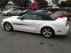 2008 Ford Mustang Gt Convertible California Special Mustang photo 2