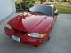 1994 Cobra Mustang,  Rio Red,  Pls See The Pics And Videos Mustang photo 1