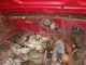 1967 Plymouth Gtx - Barn Find,  Restoration Project - All Matching Numbers GTX photo 4