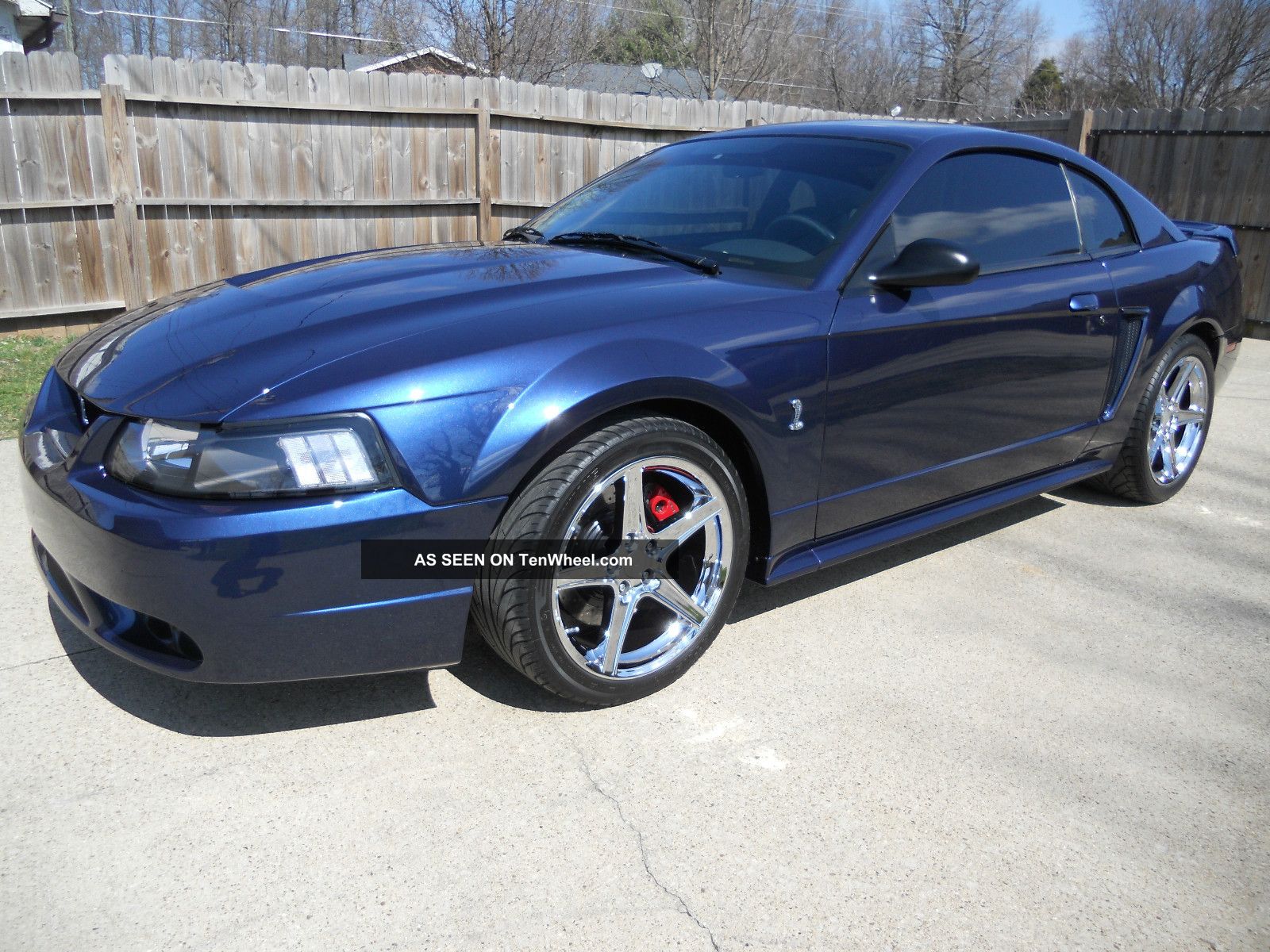 2001 Ford Mustang Svt Cobra Coupe True Blue Mustang photo