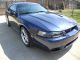 2001 Ford Mustang Svt Cobra Coupe True Blue Mustang photo 8