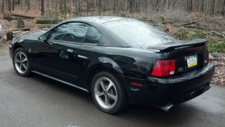 2003 Ford Mustang Mach I Coupe 2 - Door 4.  6l photo