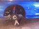 1997 Ford Mustang - Twin Turbo,  9sec 1 / 4 Mile Show Car, ,  Car Mustang photo 8