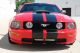 2005 Ford Mustang Coupe Gt Supercharged And Intercooled Mustang photo 5