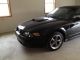 2003 Ford Mustang Gt Conv. Mustang photo 10