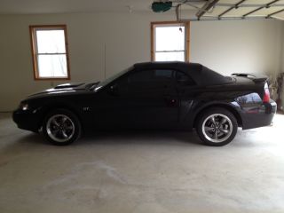 2003 Ford Mustang Gt Conv. photo