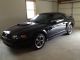 2003 Ford Mustang Gt Conv. Mustang photo 2