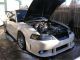 1999 Ford Mustang Gt Coupe 2 - Door 4.  6l (supercharged @ 482 Hp W / 471 Ft.  - Lbs Tq) Mustang photo 3