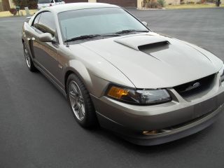 2002 Ford Mustang Gt Coupe Show Car 2003 Cobra Anniv.  Wheels $1000.  00 A Day photo