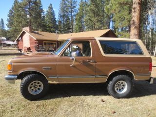 1988 Ford Bronco Xlt 4x4 - Awesome Rig - Paint, , photo