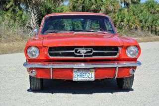1964 1 / 2 Ford Mustang photo
