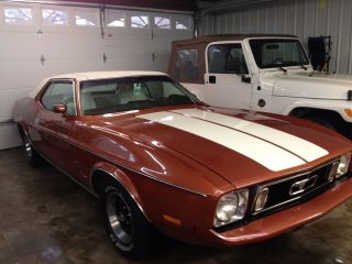 1973 Mustang Coupe photo