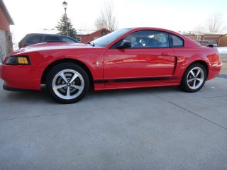 2003 Mach 1 Awesome Cond Look At The Rest,  This Is 100% Stock, photo