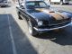 1966 Mustang Fastback Gt - 350h Hertz A Racer Tribute Car Mustang photo 1
