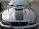 2003 Ford Mustang Mach I Coupe 2 - Door 4.  6l Car Trade In Mustang photo 1