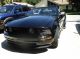 2005 Ford Mustang Convertible,  $4000 In Upgrades,  Black On Black. Mustang photo 1