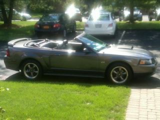 2003 Ford Mustang Gt Convertible 2 - Door Auto,  Adult Owned,  Completely Stock, photo