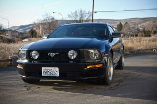 2005 Ford Mustang Gt Premium Coupe 4.  6l photo