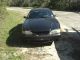 1996 Ford Mustang Svt Cobra Coupe 2 - Door 4.  6l Mustang photo 2