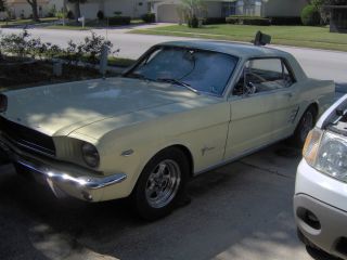 1966 Ford Mustang 1 Out Of 11 Won In Ford Giveaway In 1965 (promo Car) Lqqk photo