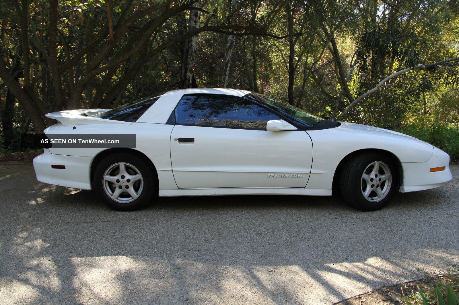 1995 Pontiac Firebird Trans Am Coupe 2 - Door 5.  7l Firebird photo