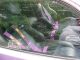 1973 Plymouth Satellite,  Solid Car,  Needs Paint Satellite photo 4