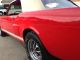 1966 65 64 Ford Mustang Convertible 289 V8 Shelby G.  T 350 C Code Great Buy Mustang photo 8