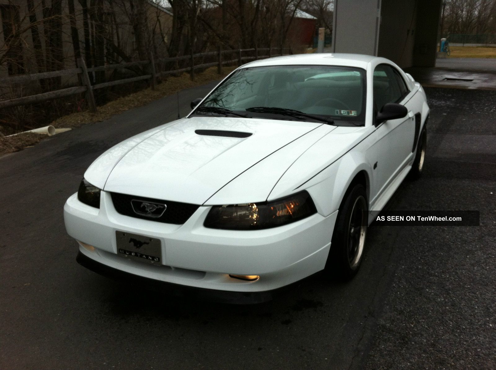 2000 Ford Mustang Gt Coupe 2 - Door 4.  6l Mustang photo