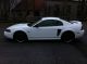 2000 Ford Mustang Gt Coupe 2 - Door 4.  6l Mustang photo 3