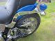 1996 Harley Davidson Softail Custom (fxstc) Softail photo 10