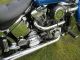 1996 Harley Davidson Softail Custom (fxstc) Softail photo 5