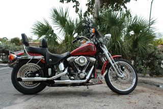 1998 Fxsts Springer,  Immaculate,  Lots Of Upgrades, , photo