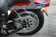 1998 Fxsts Springer,  Immaculate,  Lots Of Upgrades, , Softail photo 4
