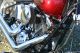 2008 Harley Davidson Fxstc Backrest Windshield Softail photo 3