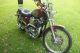 1996 Harley Davidson Sportster 1200 Custom Sportster photo 7