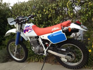 1993 Honda Xr250l Xr250 250 Xr Enduro Dual Sport Adventure photo