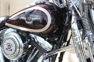 1998 Harley Davidson Heritage Springer 95th Anniversary photo