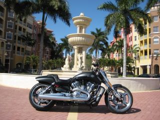 2012 Harley - Davidson V - Rod Muscle Fl L@@k photo