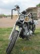 2002 Harley Davidson Xl Series Other photo 2