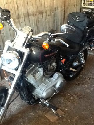 2 2006 Harley Davidson 883 Motorcycles One Blue And One Black. photo