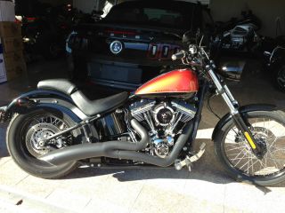 2011 Harley - Davidson® Softail Blackline Fxs photo