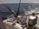 1987 Wellcraft 230 Fisherman Center Console Offshore Saltwater Fishing photo 8