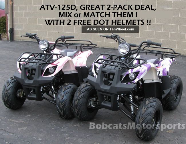 2013 Tao Tao Atv 125d