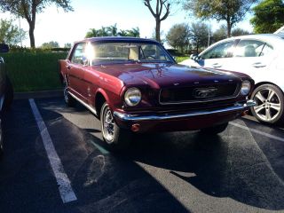 1964 1 / 2 Mustang S6 170.  Turn Key Ready.  Dependable And Ready For Driving. photo
