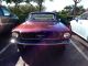 1964 1 / 2 Mustang S6 170.  Turn Key Ready.  Dependable And Ready For Driving. Mustang photo 2