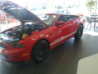2013 Shelby Gt500 Convertible photo