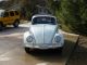 1961 Ragtop Vw Beetle Beetle - Classic photo 1